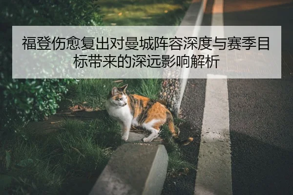 福登伤愈复出对曼城阵容深度与赛季目标带来的深远影响解析 - LD SPORTS