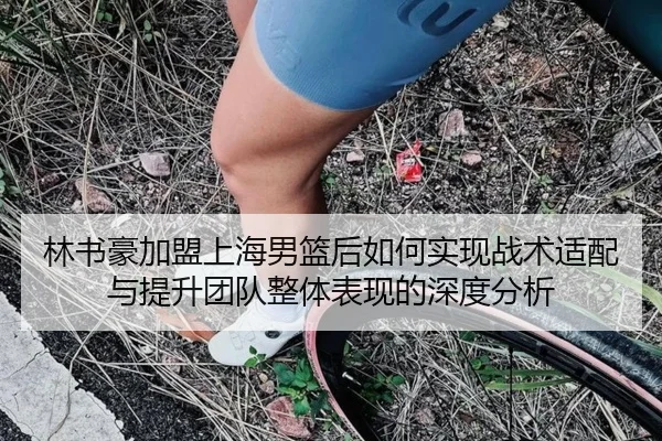 林书豪加盟上海男篮后如何实现战术适配与提升团队整体表现的深度分析（LD SPORTS）
